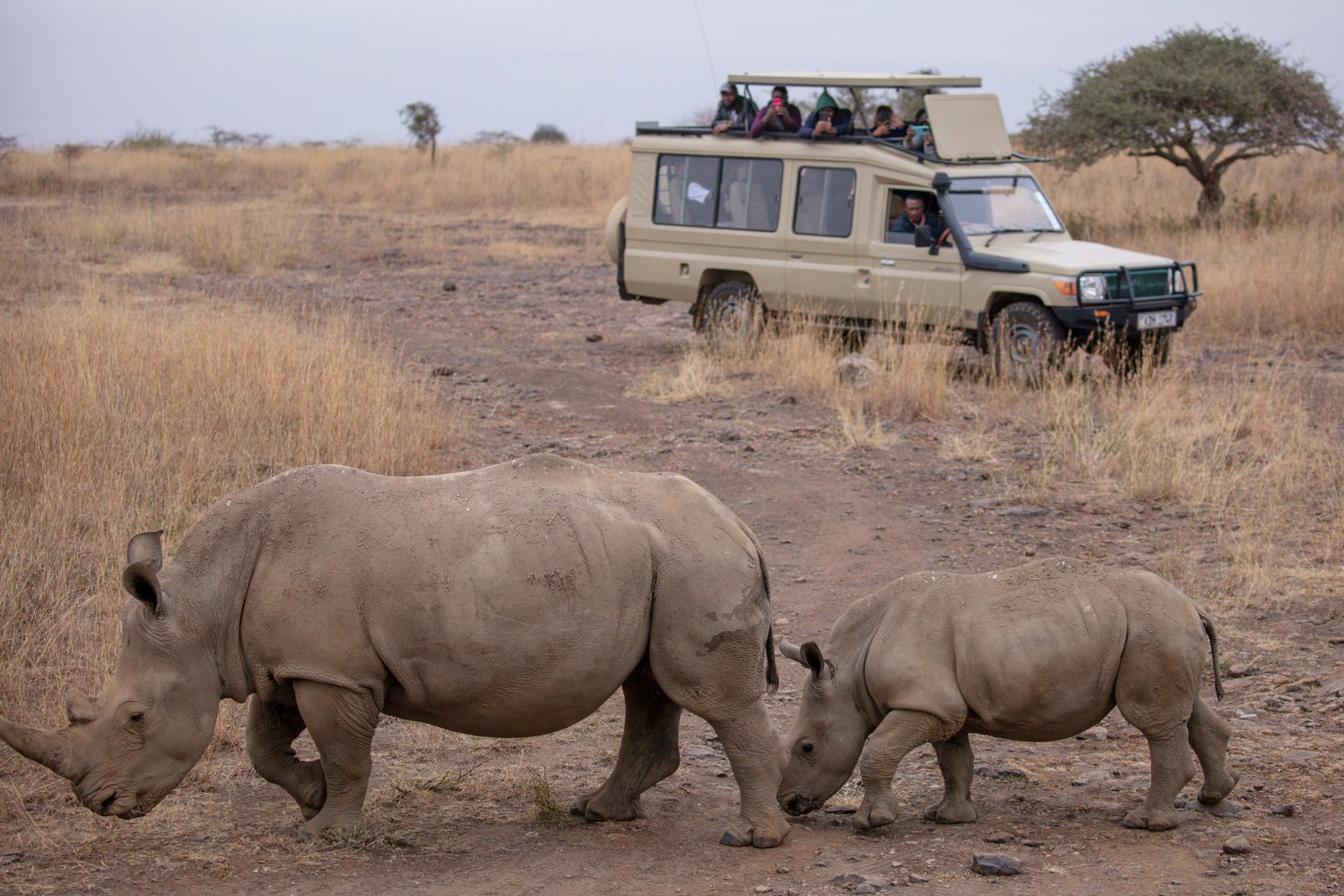 Wildlife Tour
